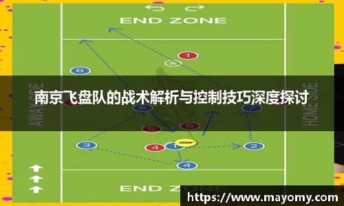 中欧体育