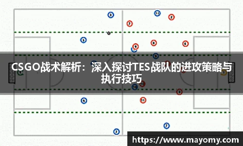 zoty中欧官方网站