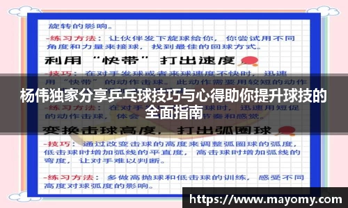中欧体育