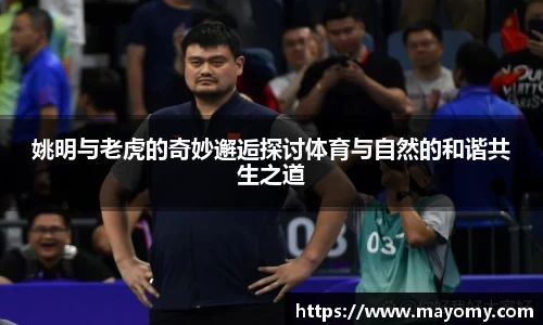 zoty中欧官网