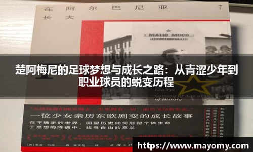 zoty中欧