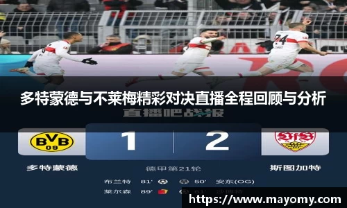 zoty中欧官方网站