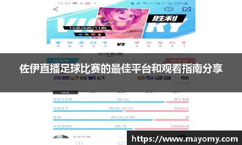 中欧体育
